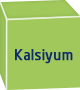Kalsyum Kalsyum